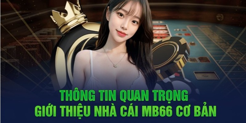 Nạp tiền vào thẻ 999Bet của bạn bằng Momo Wallet - 999Bet