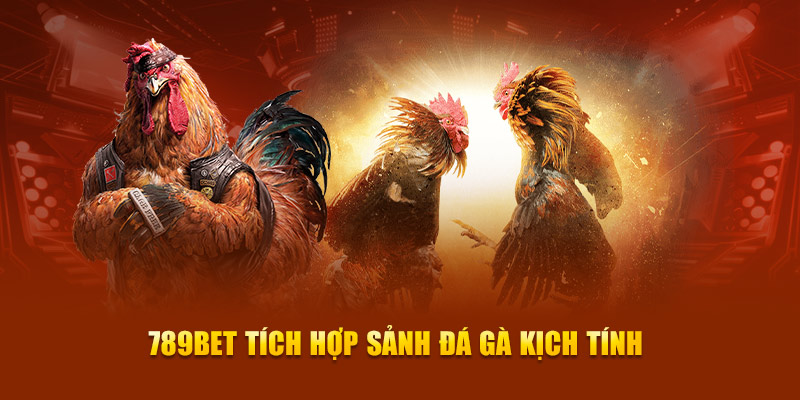 Người chơi game thể thao có thể đăng ký tối đa bao nhiêu tài khoản trên Gk88? - Gk88