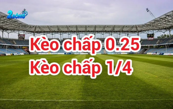Các đối tác cấp Caxeng phải thực sự xuất sắc - Caxeng
