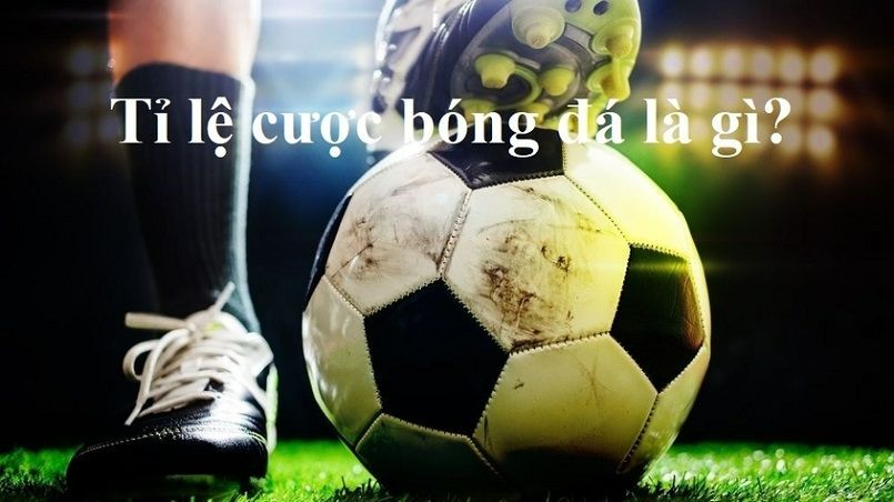 Truy cập nhanh trang web game Sbty - Sbty