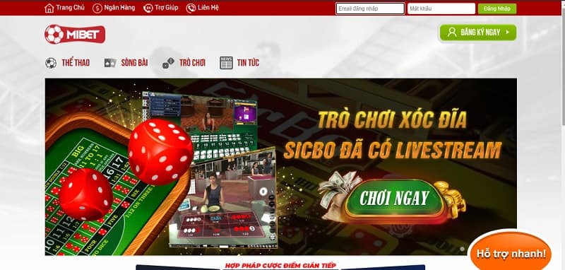 Tóm tắt các hoạt động quảng bá phổ biến nhất của 2Q năm 2026 - 2Q