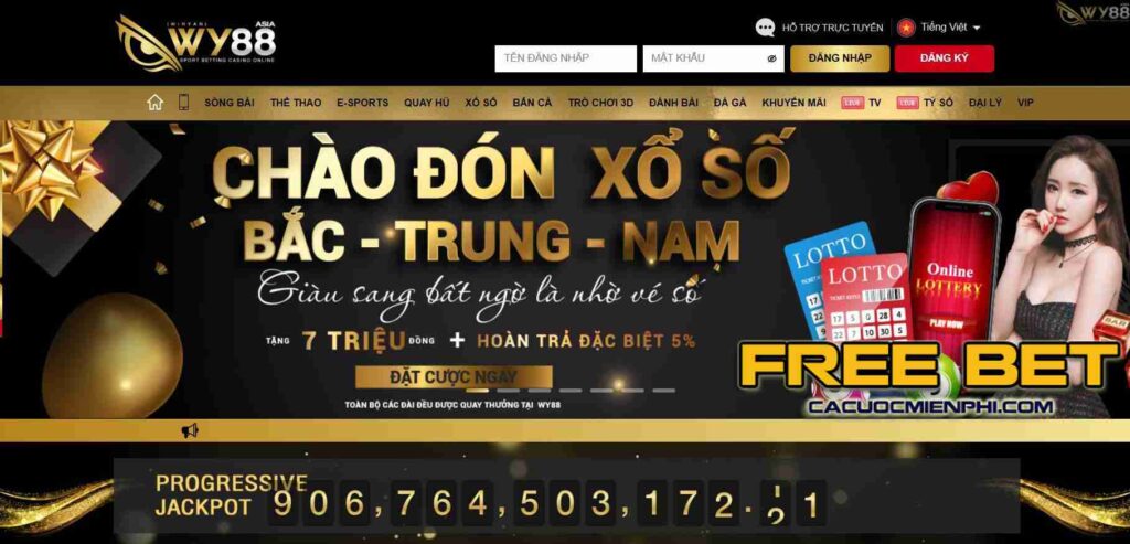 Kết quả và thống kê cuộc thi 89Bet - 89Bet