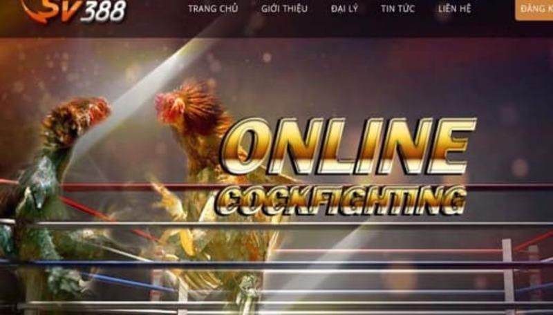 Tại sao khách hàng tin tưởng Sbet68? - Sbet68