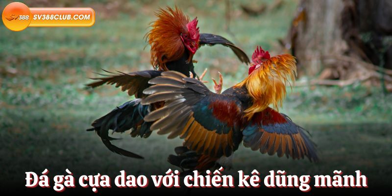 Đăng ký làm thành viên của trang web game Loto188 và bạn sẽ nhận được 100000 đô la - Loto188