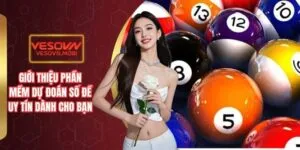 Khuyến mãi đặc biệt hàng ngày của Betvip - Betvip